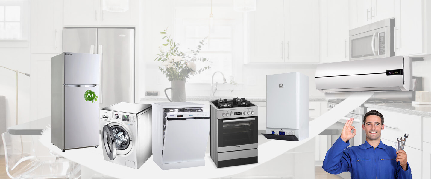 Söke Windsor Servisi